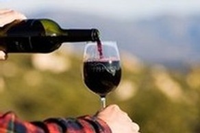 Chris pouring a BIG glass of Meritage with Garner Valley in the background